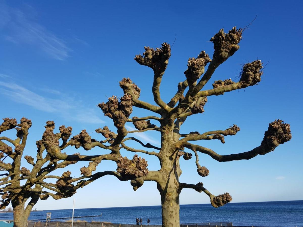 Ferienwohnung "Luv" Grube Ostsee Exterior photo